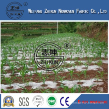 PP Nonwoven Fabric with High Quality Using in Agriculture